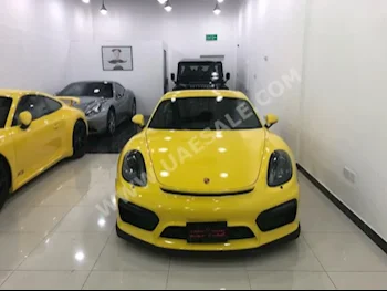 Cars For Sale Porsche  GT  4  12,000  Yellow  Coupe / Sport  Manual  RWD  Leather  2016  8  Yes  Gasoline