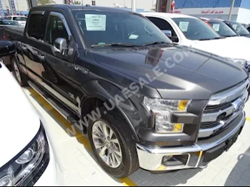 Cars For Sale Ford  F  150 Lariat  0  Gray  Pick Up  Automatic  4WD  Leather  2017  6  Panorama  Gasoline
