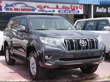 Cars For Sale Toyota  Prado  EXR  0  Dark Gray  SUV  Automatic  4WD  Cloth  2019  6  No  Gasoline