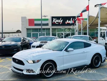 Cars For Sale Ford  Mustang  Eco Boost  25,000  White  Coupe / Sport  Automatic  RWD  Leather  2017  4  No  Gasoline