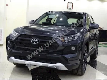 Cars For Sale Toyota  Rav 4  0  Gray  SUV  Automatic  4WD  Leather  2019  4  Panorama  Gasoline