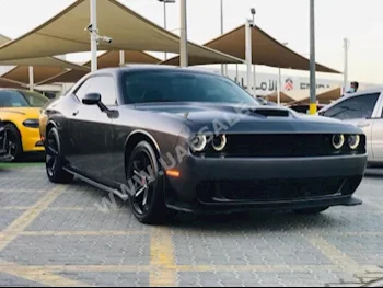 Cars For Sale Dodge  Challenger  R/T  18,000  Gray  Coupe / Sport  Automatic  RWD  Leather/Chamois  2019  6  Yes  Gasoline