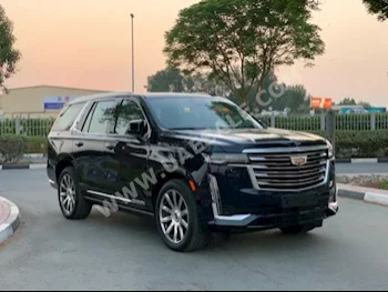 سيارات للبيع كاديلاك  اسكيليد  0  ازرق  اس يو في  اتوماتك  دفع رباعي  جلد  2022  8  نعم  بنزين