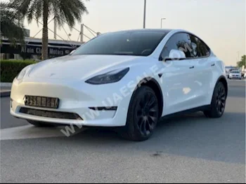 Cars For Sale Tesla  MODEL 3  17,000  White  SUV  Automatic  RWD  Leather  2022  1  Panorama  Gasoline